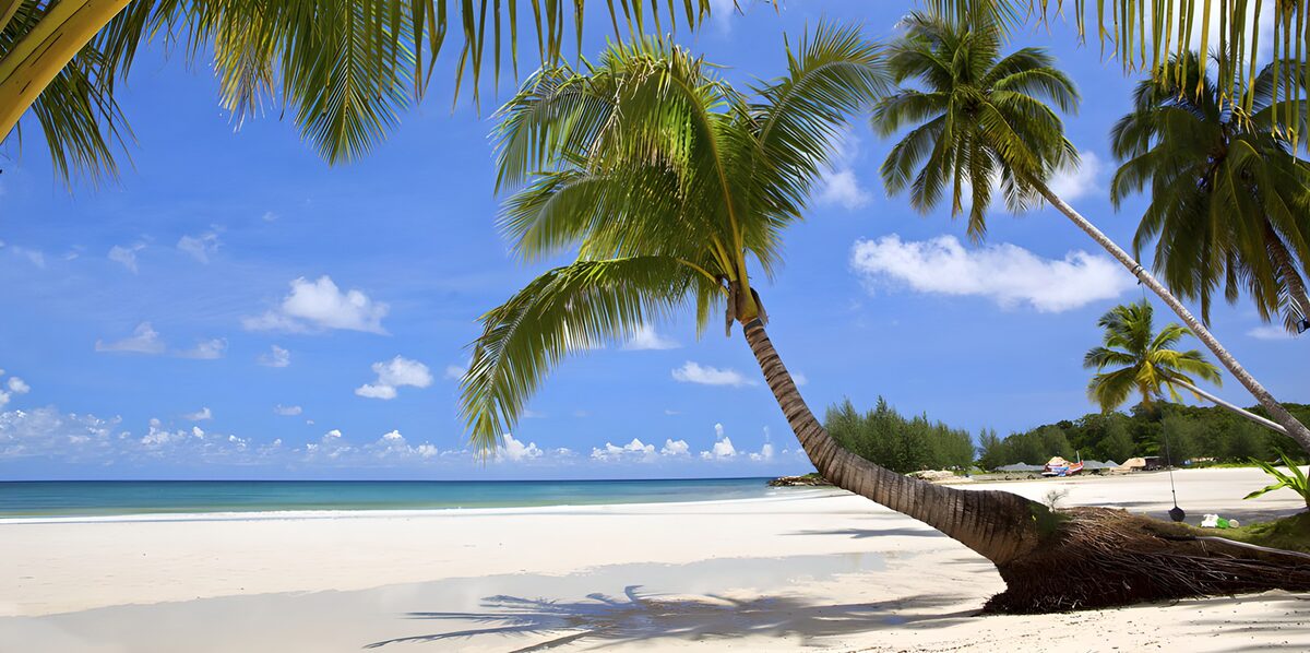 TPDE88940: Paradiesischer Strand mit Palmen