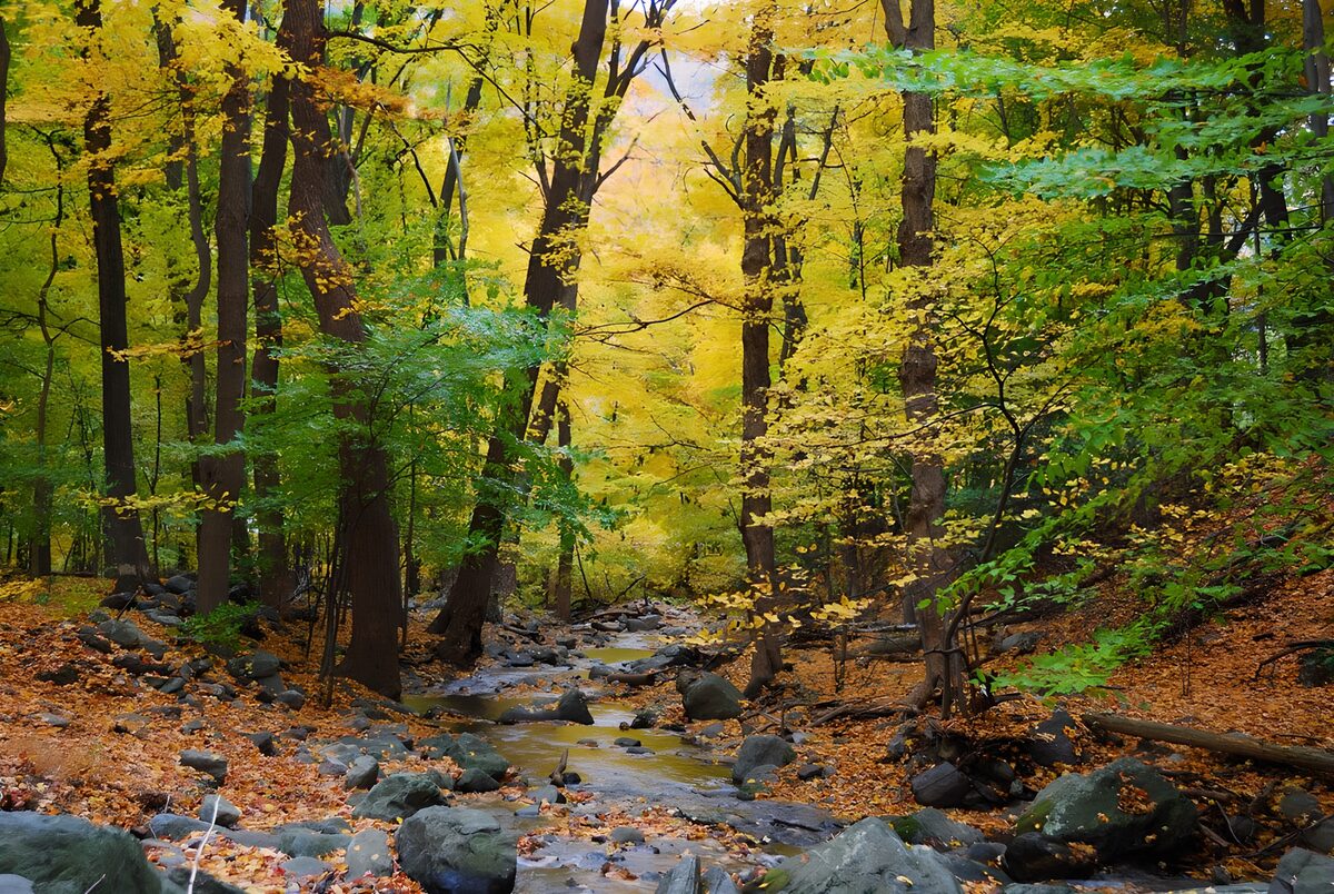 TPDE51295: Herbstliche Landschaft mit Bach