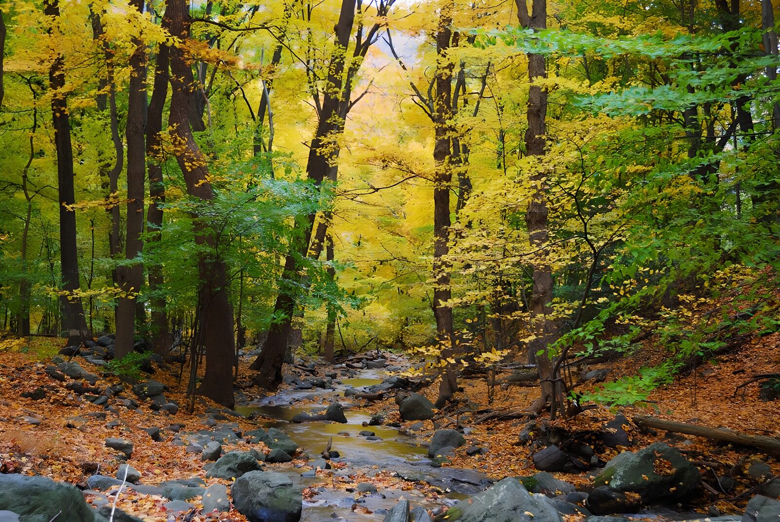 TPDE51295: Herbstliche Landschaft mit Bach