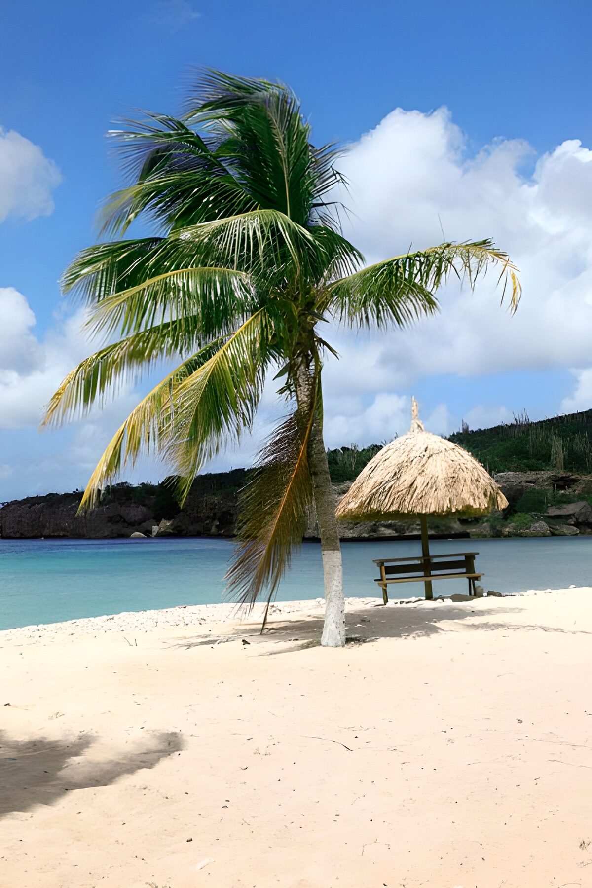TPDE78483: Palmen am weißen Strand mit Sonnenschirm aus Schilf