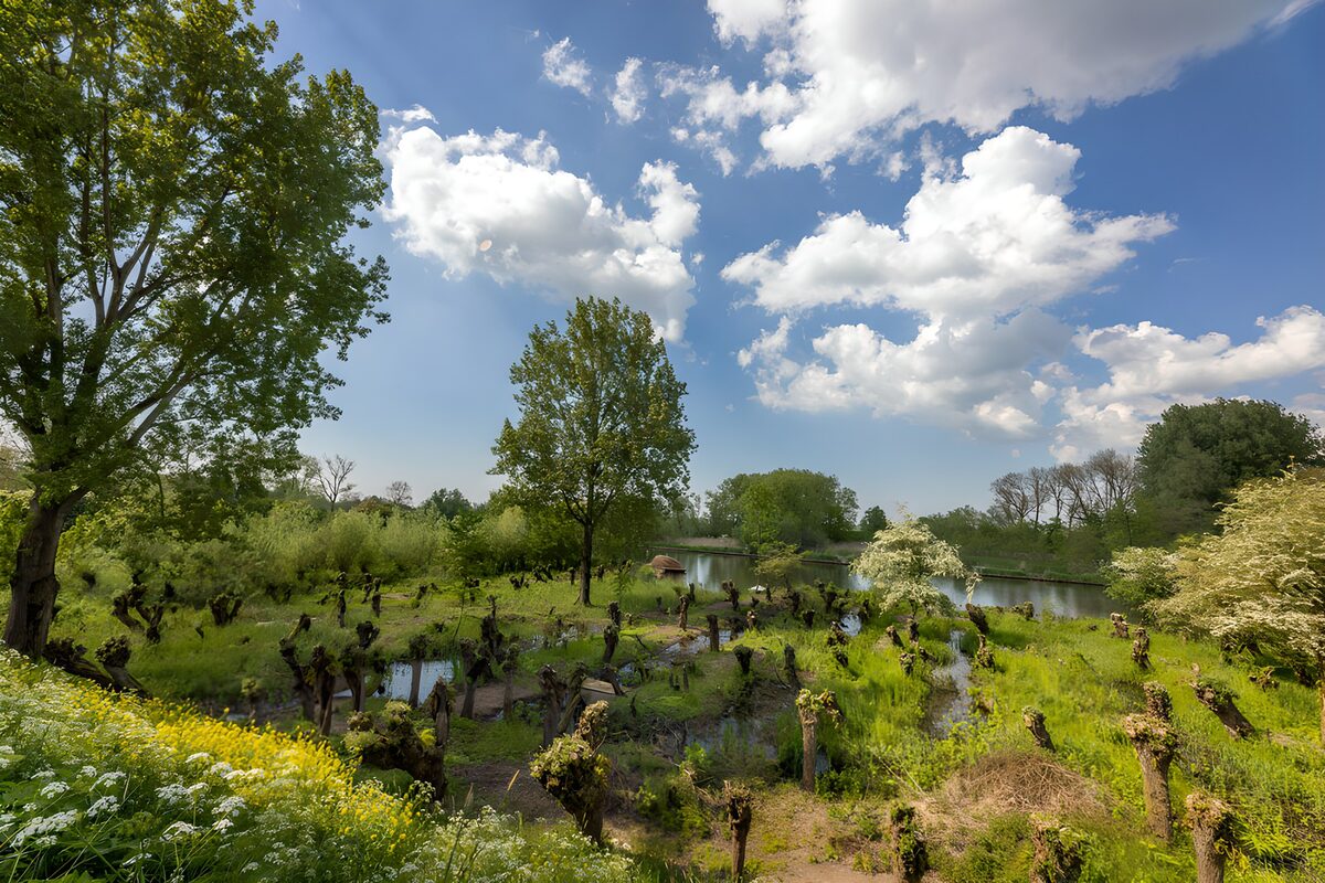 Idylle am Wasser mit üppiger Natur