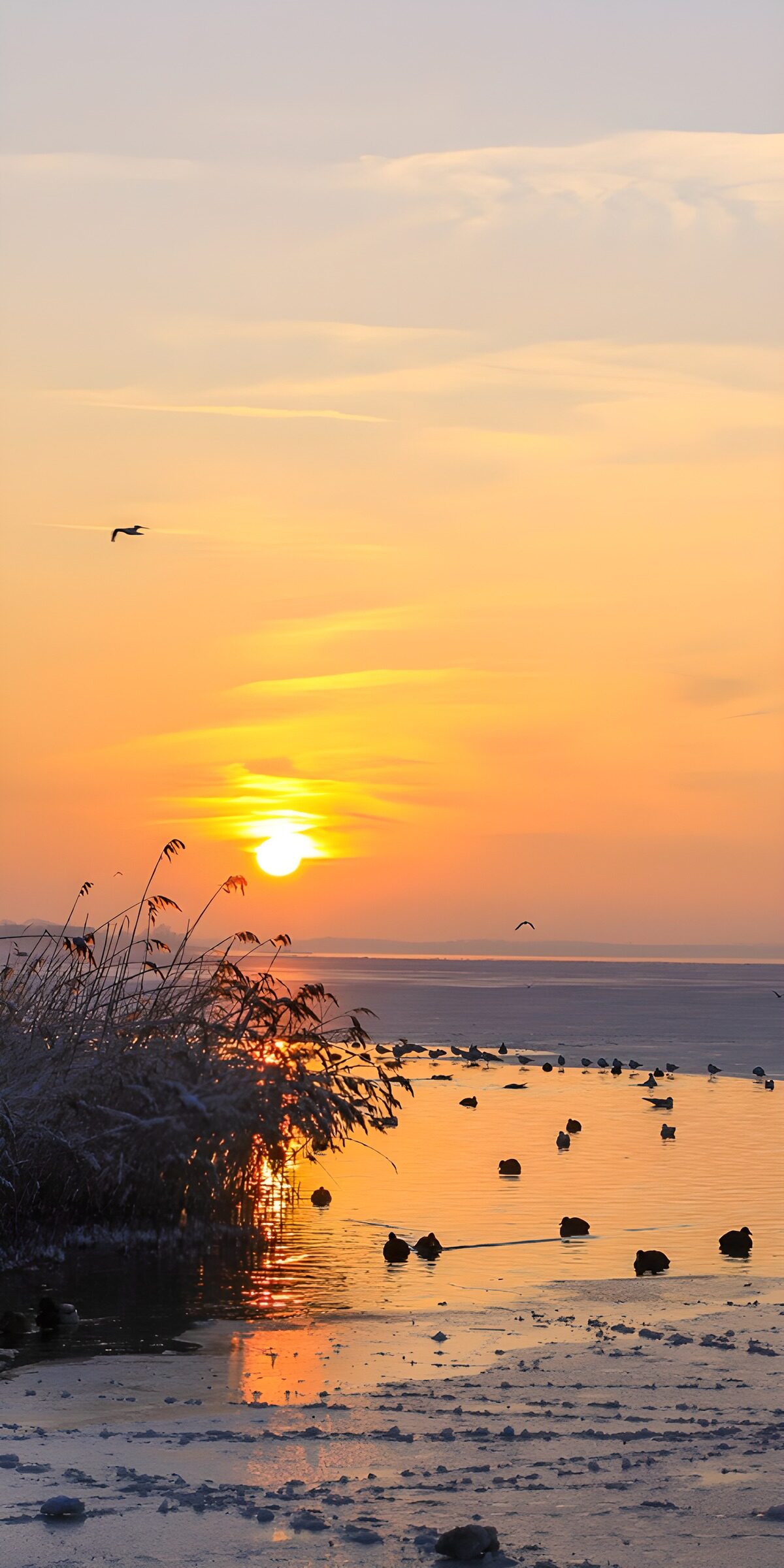 TPDE14683: Sonnenuntergang über dem gefrorenen See