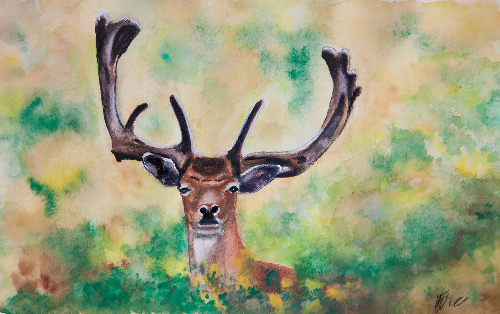 TPDE53901: Majestätischer Hirsch im Wald