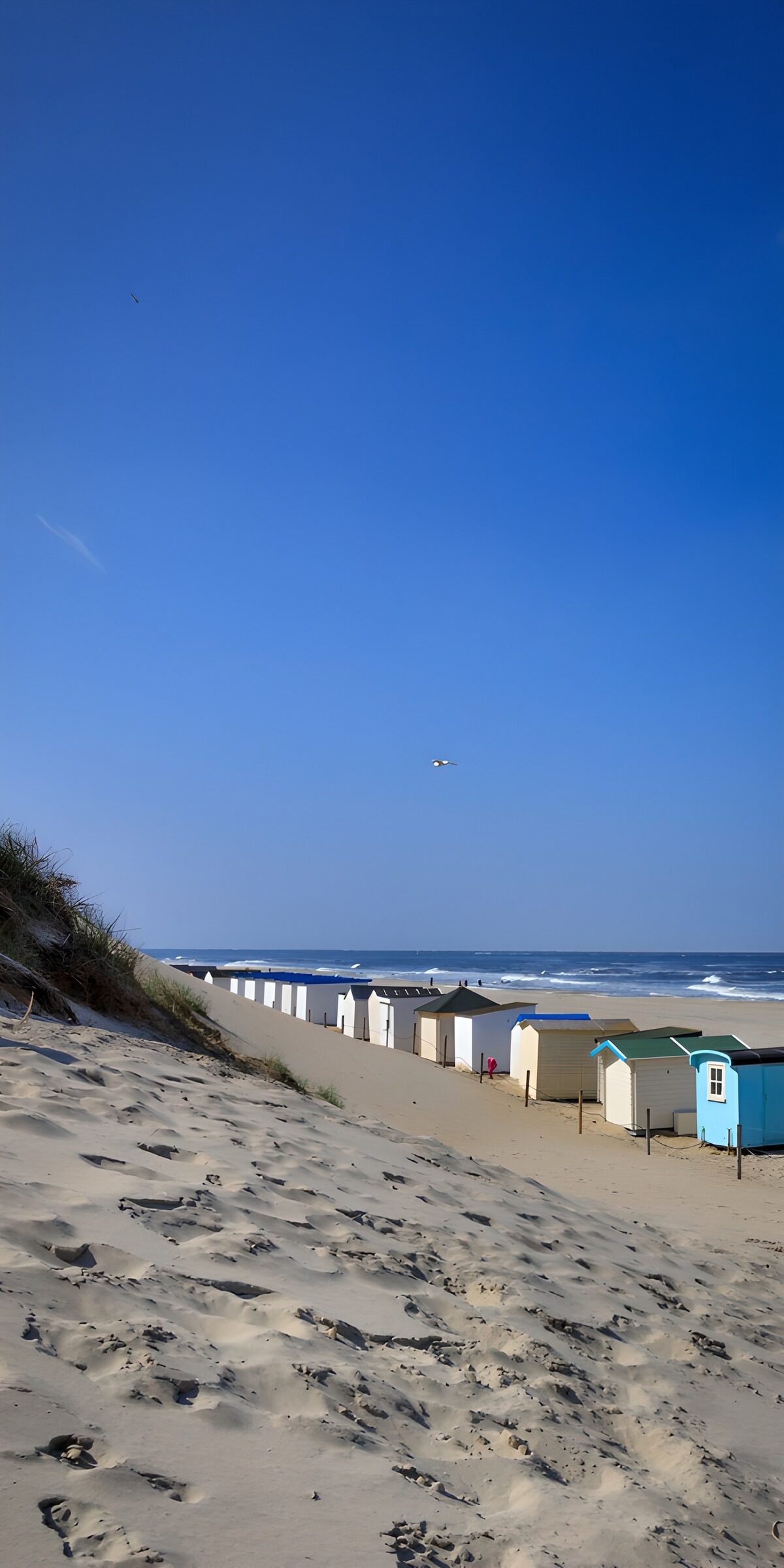 TPDE12228: Strandhäuser unter blauem Himmel