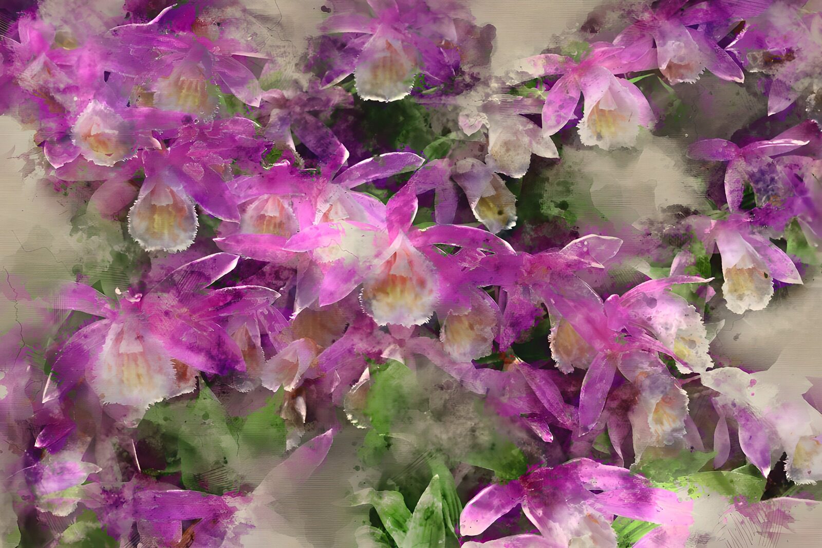 TPDE47725: Bunte Orchideen in Aquarell-Stil