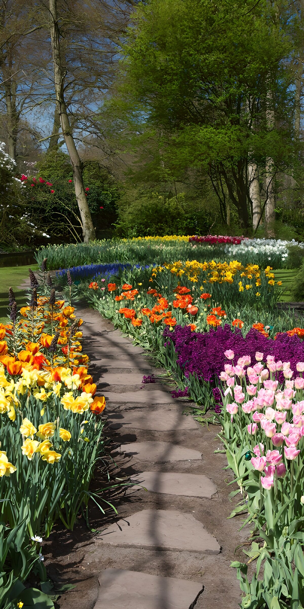 TPDE10400: Farbenfroher Gartenweg im Frühling