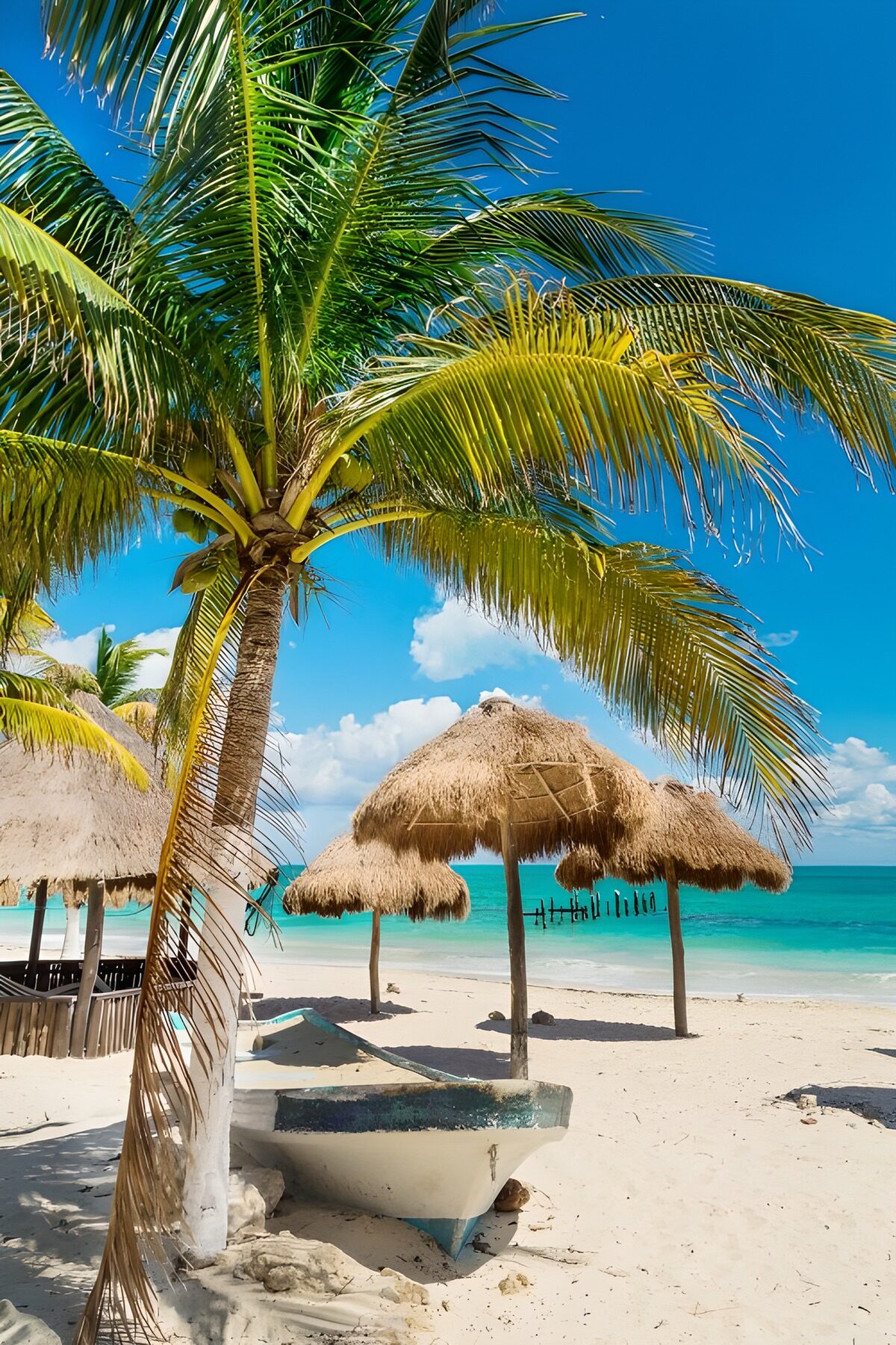 TPDE95875: Paradiesischer Strand mit Palmen