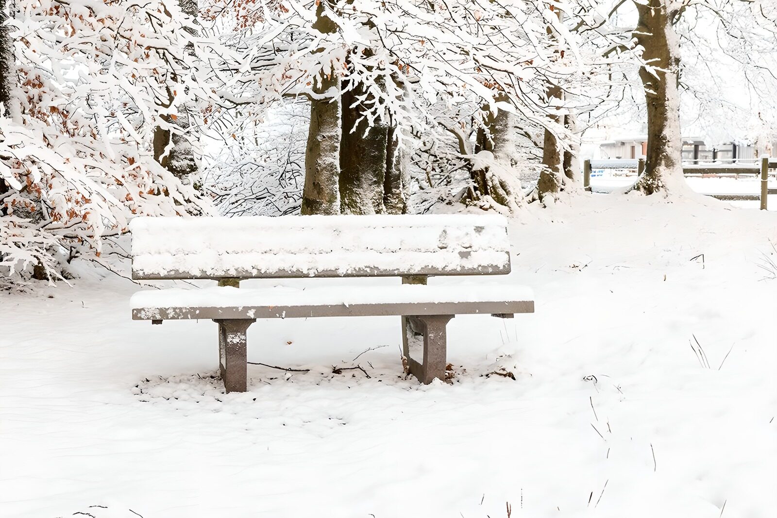 TPDE97565: Bänklein, mit Schnee bedeckt, in einem Park 