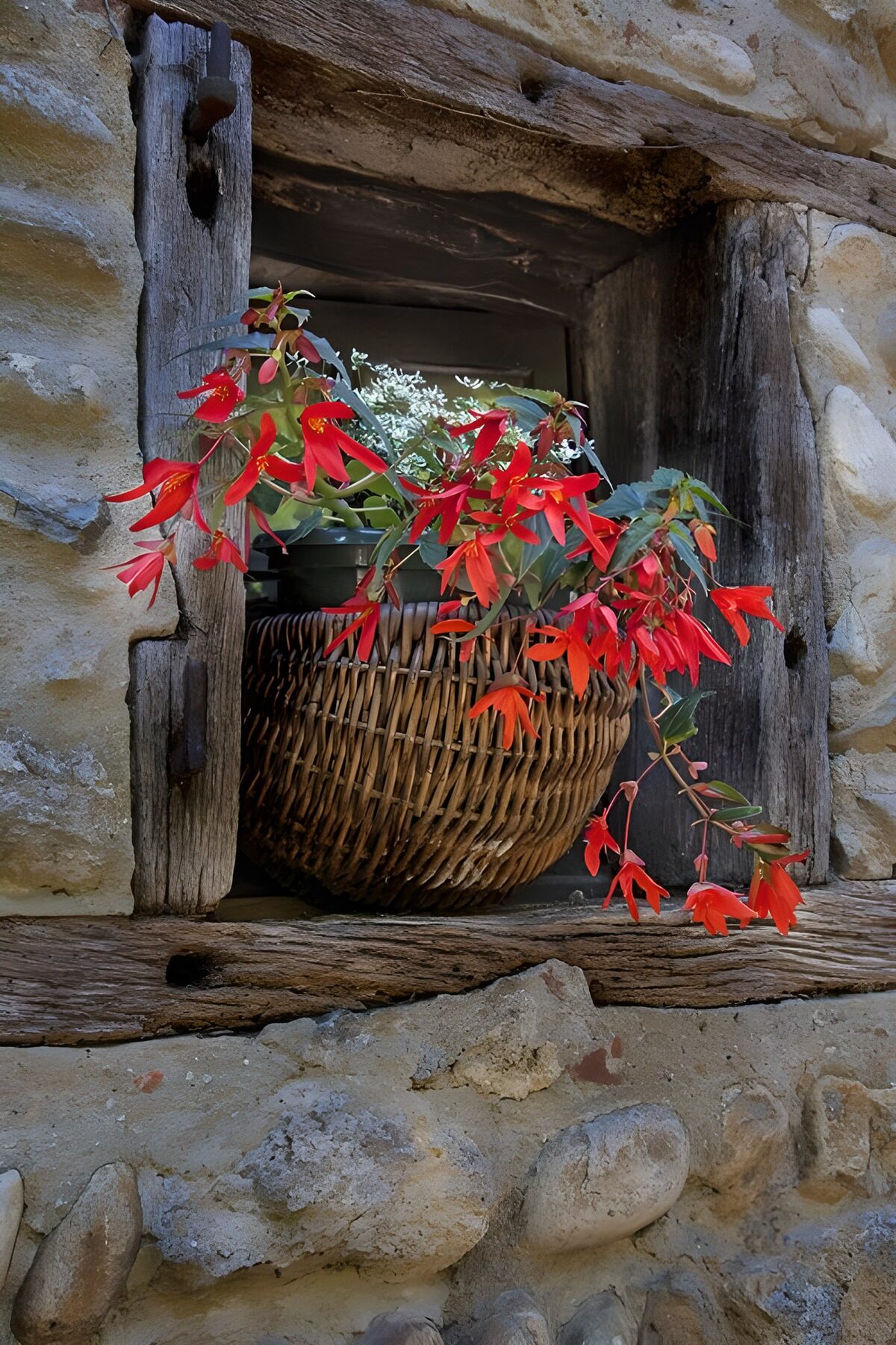 Korb mit blühenden roten und weißen Blumen im Fenster eines alten Hauses