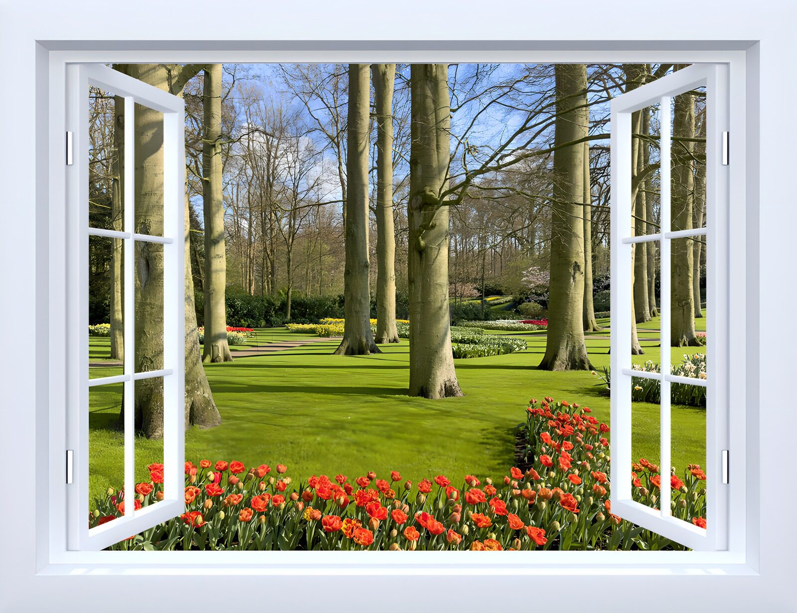 TPDE63947: Ausblick auf einen blühenden Garten