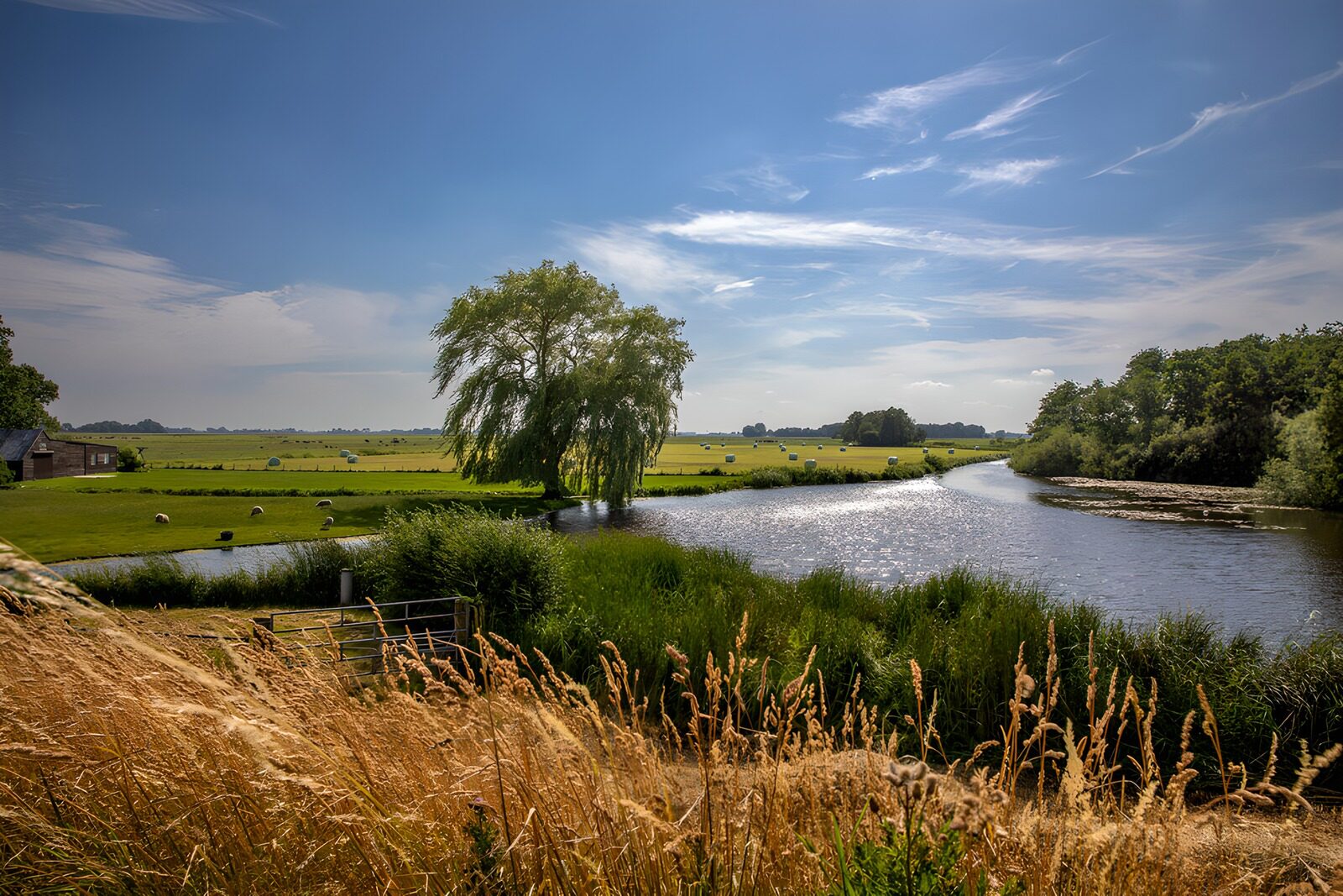 TPDE26305: Idylle am Fluss in der Natur