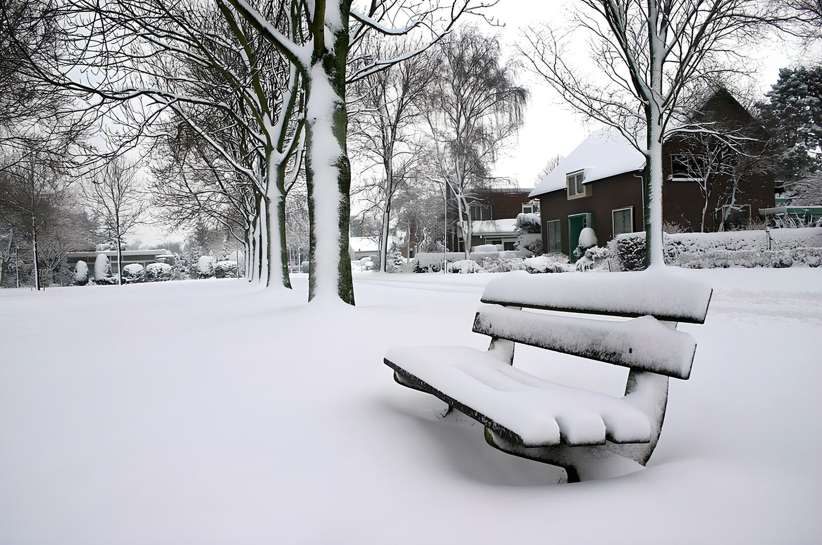 TPDE15481: Bänklein im Schnee