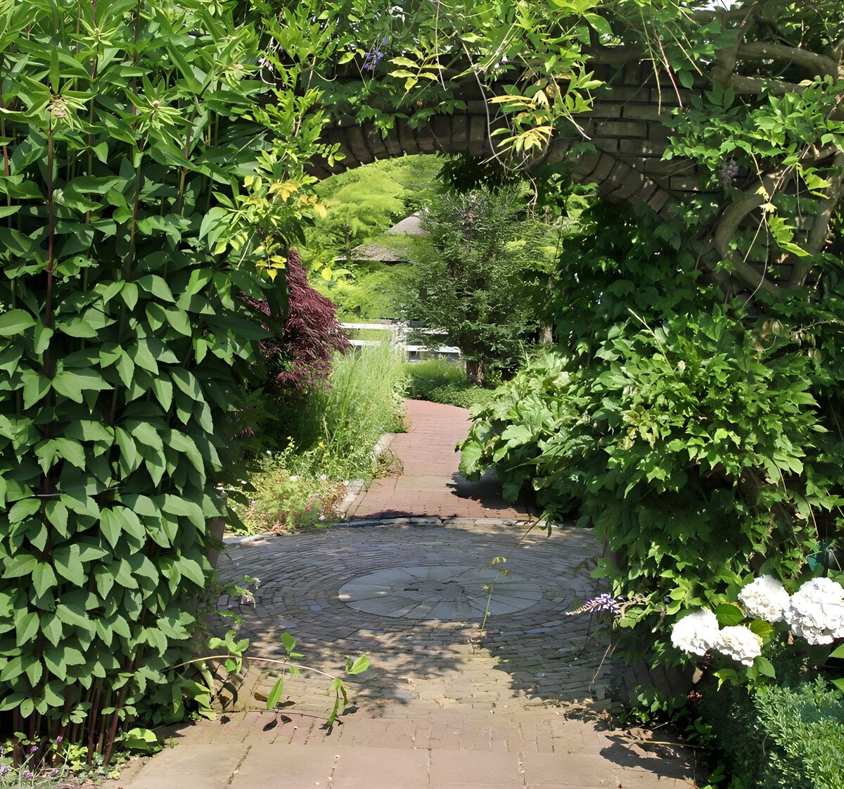 TPDE44805: Weg durch einen Park