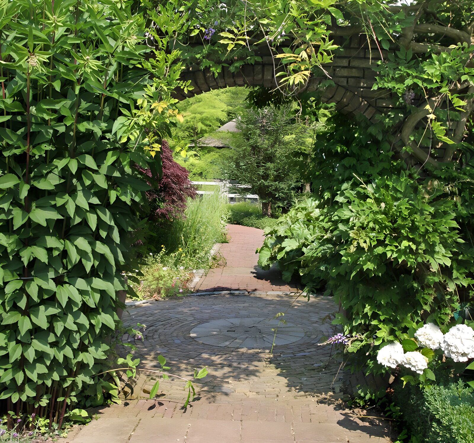 TPDE44805: Weg durch einen Park