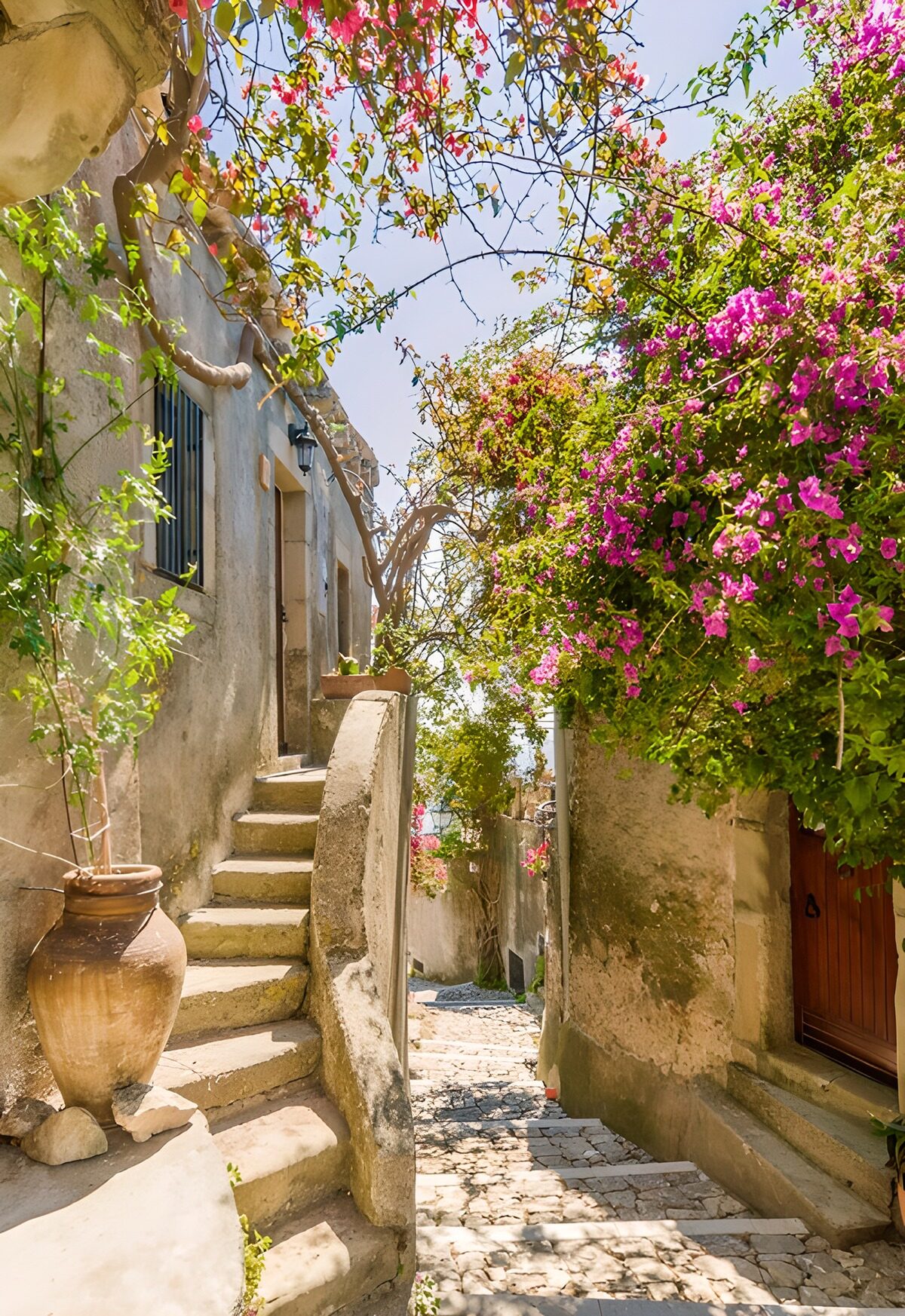 TPDE76386: Schmale Straße mit Bougainvillea und Stufen