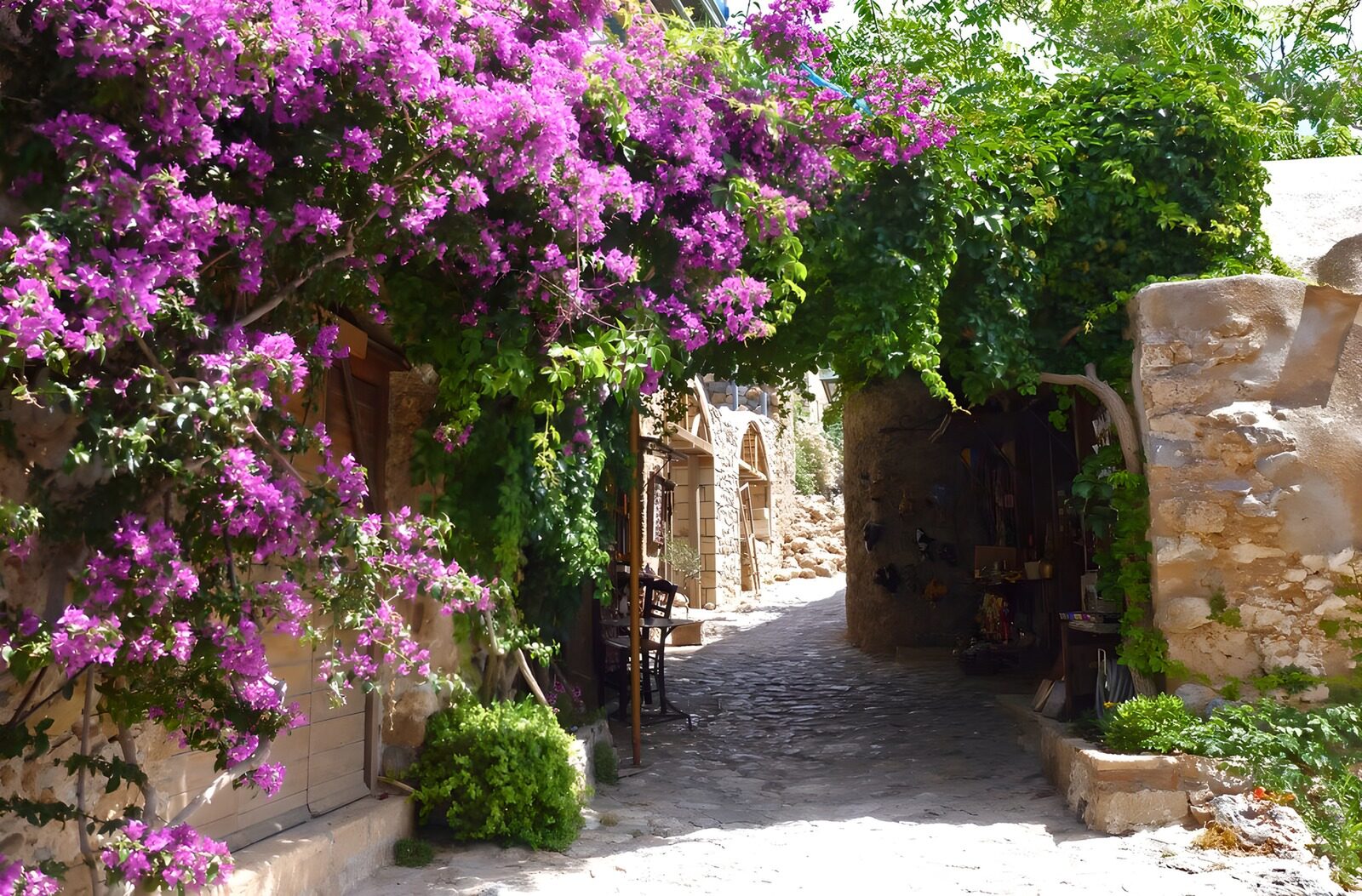 TPDE17419: Gasse überschattet von Bougainvillea