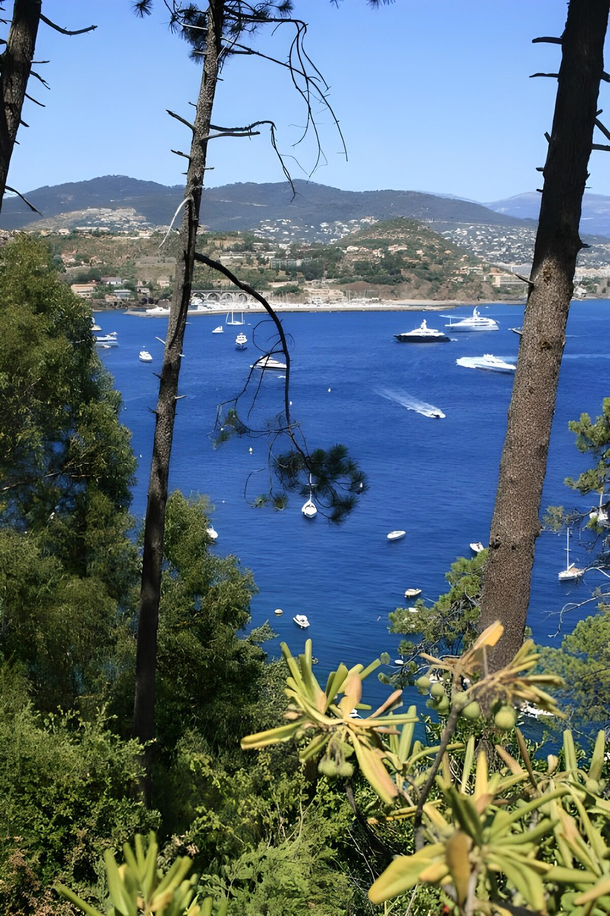 TPDE51748: Blick auf das blaue Meer mit u.a. Segelbooten