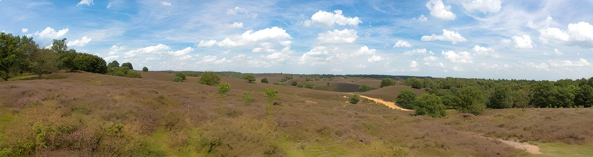 TPDE63268: Ausblick über die Lüneburger Heide