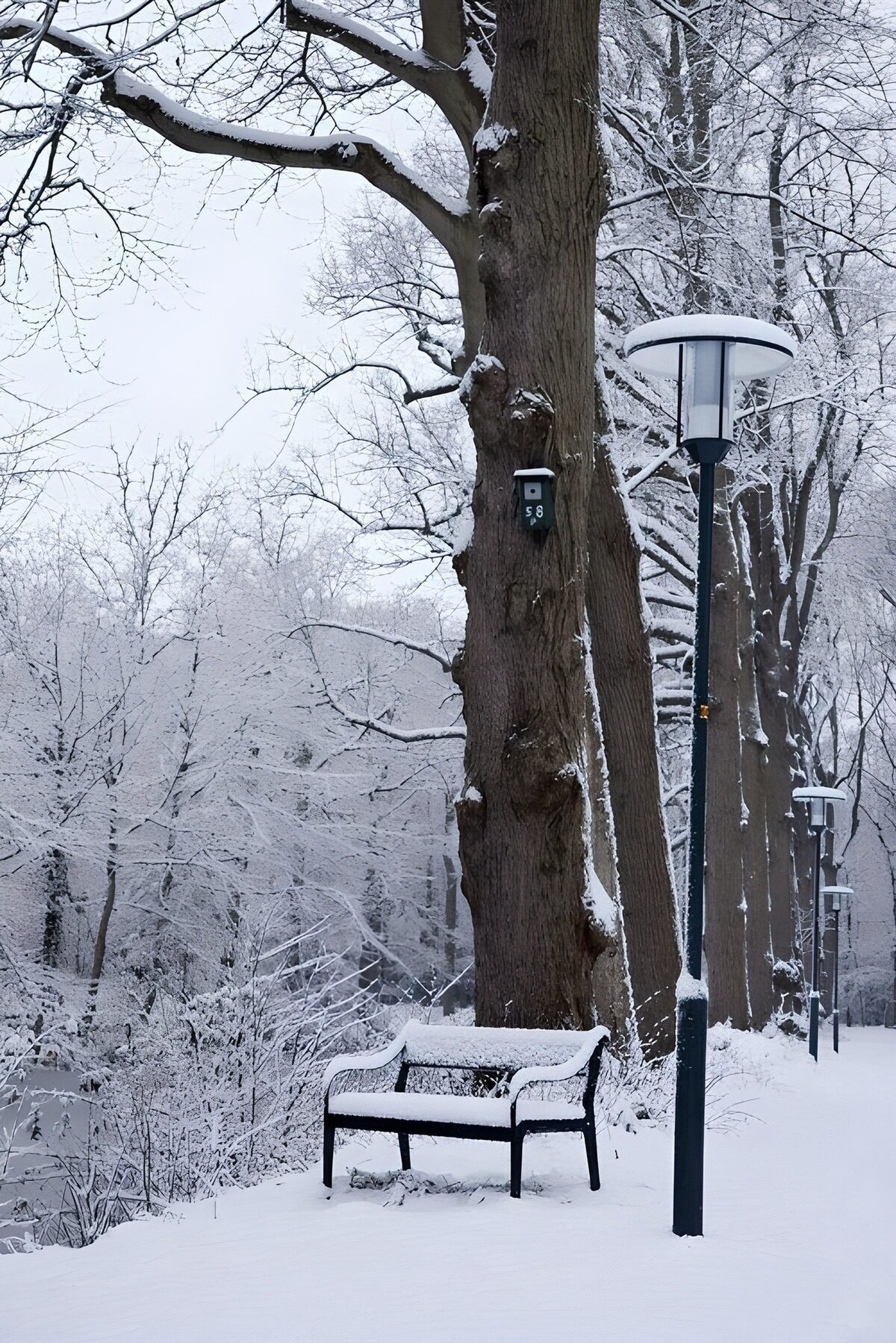 Sitzbank , mit Schnee bedeckt, in einem Park 