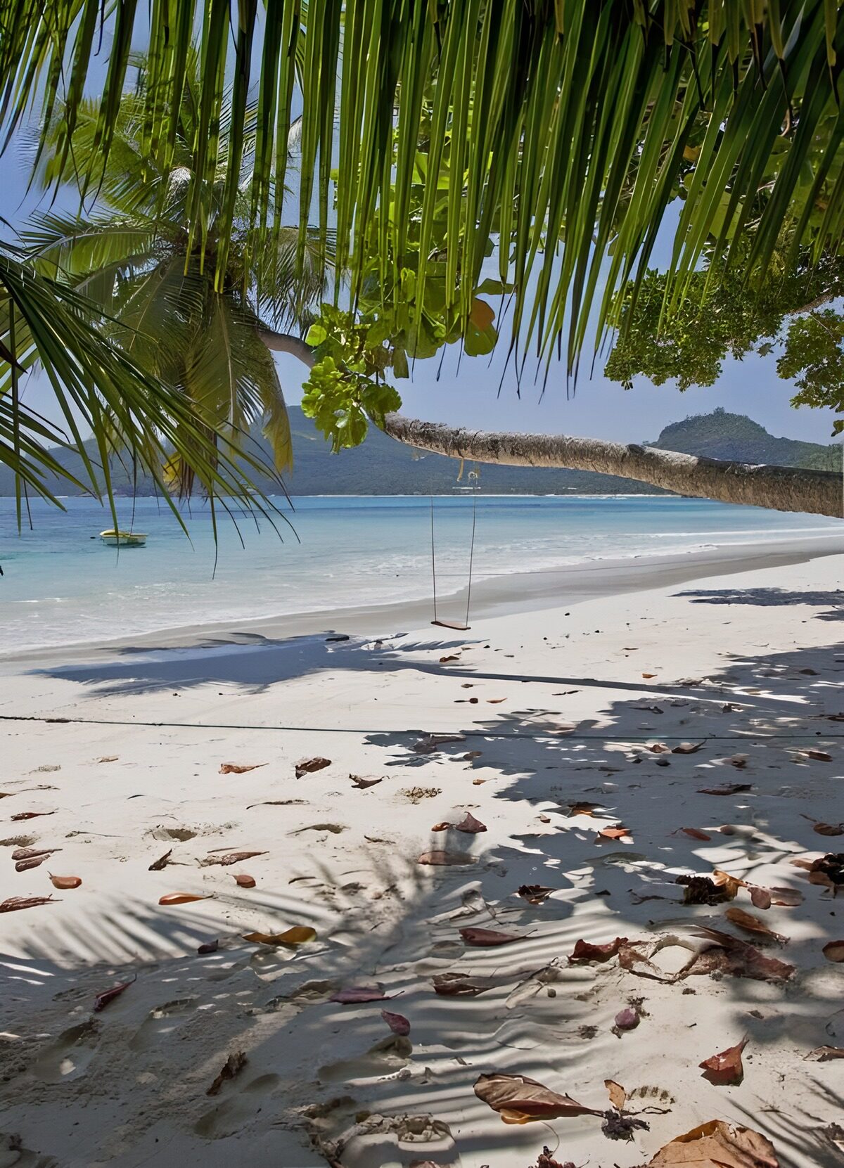 TPDE87311: unendlich lang erscheinender Strand