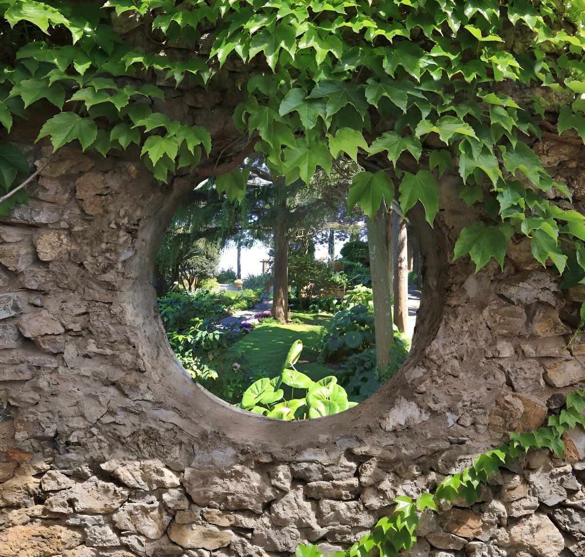 TPDE53587: Blick durch einen runden Wanderweg