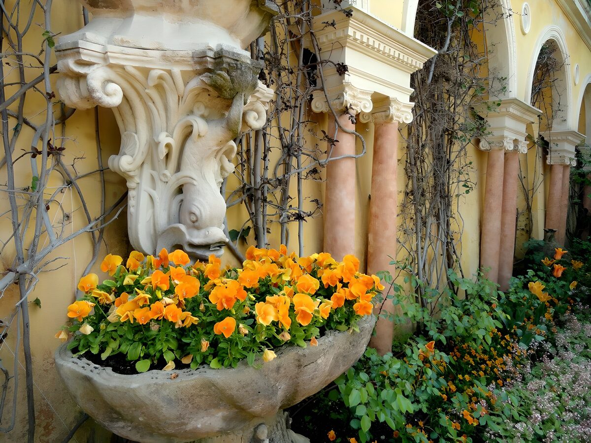 TPDE50842: Blumengarten mit orangefarbenen Stiefmütterchen
