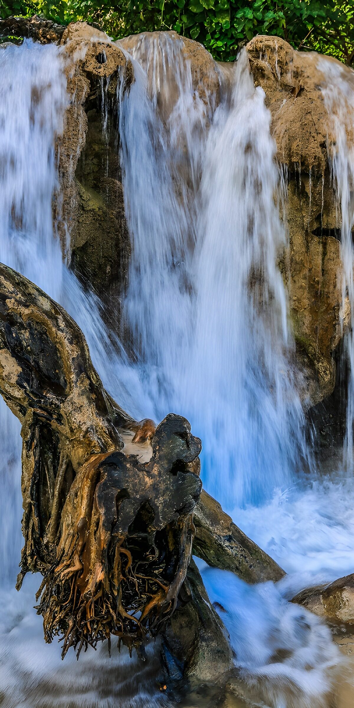 TPDE32933: Wasserfall mit Wurzeln und Gischt