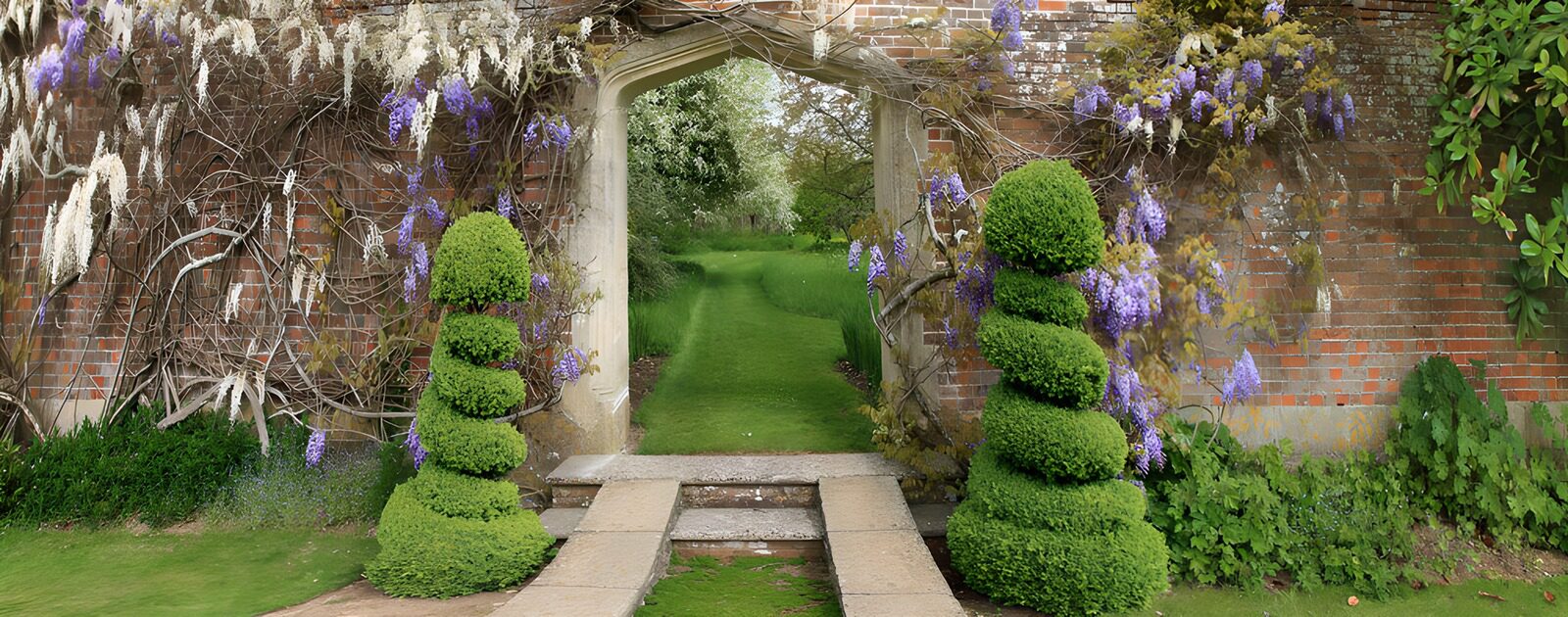 TPDE36634: Zauberhafter Gartenweg mit Wisteria