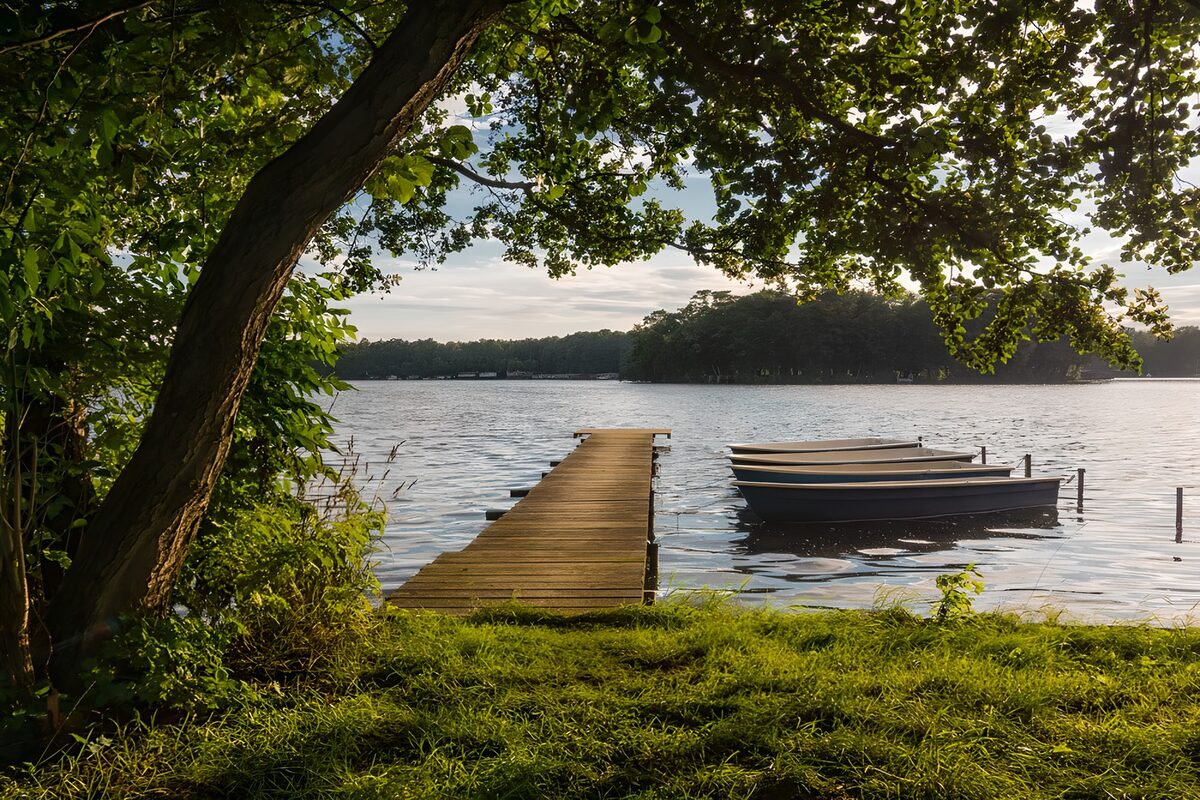 Ausblick auf einen See mit Ruderbooten