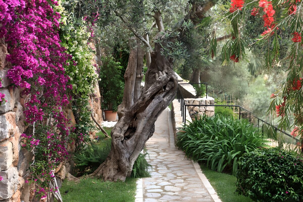 TPDE69188: Weg aus Basaltsteinen im botanischen Garten