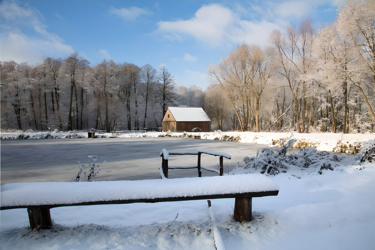 TPDE48683: Winterzauber an einem stillen Teich