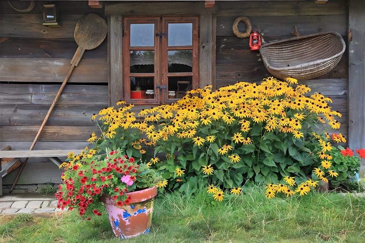 eine Berghütte mit blühenden Blumen und Utensilien, wie eine Kanne, einen Besen und eine Öllampe