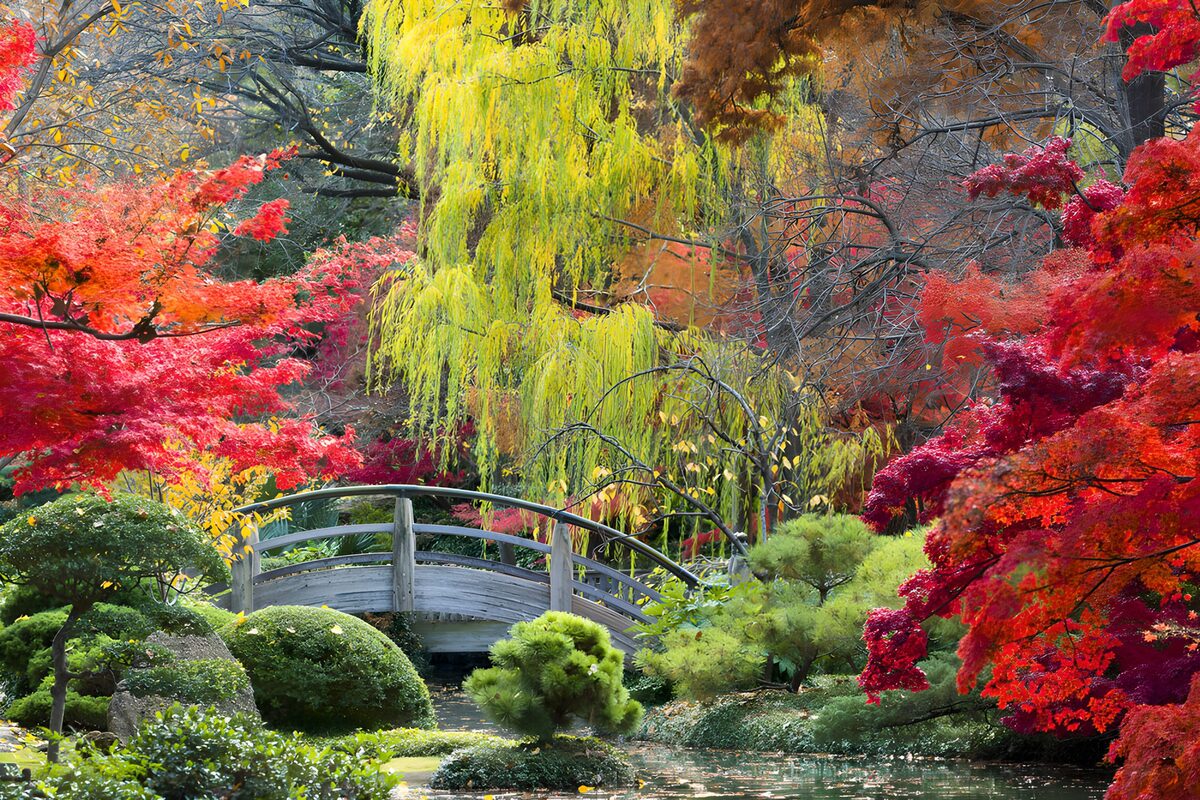 TPDE23751: Herbstliche Gartenlandschaft mit Brücke