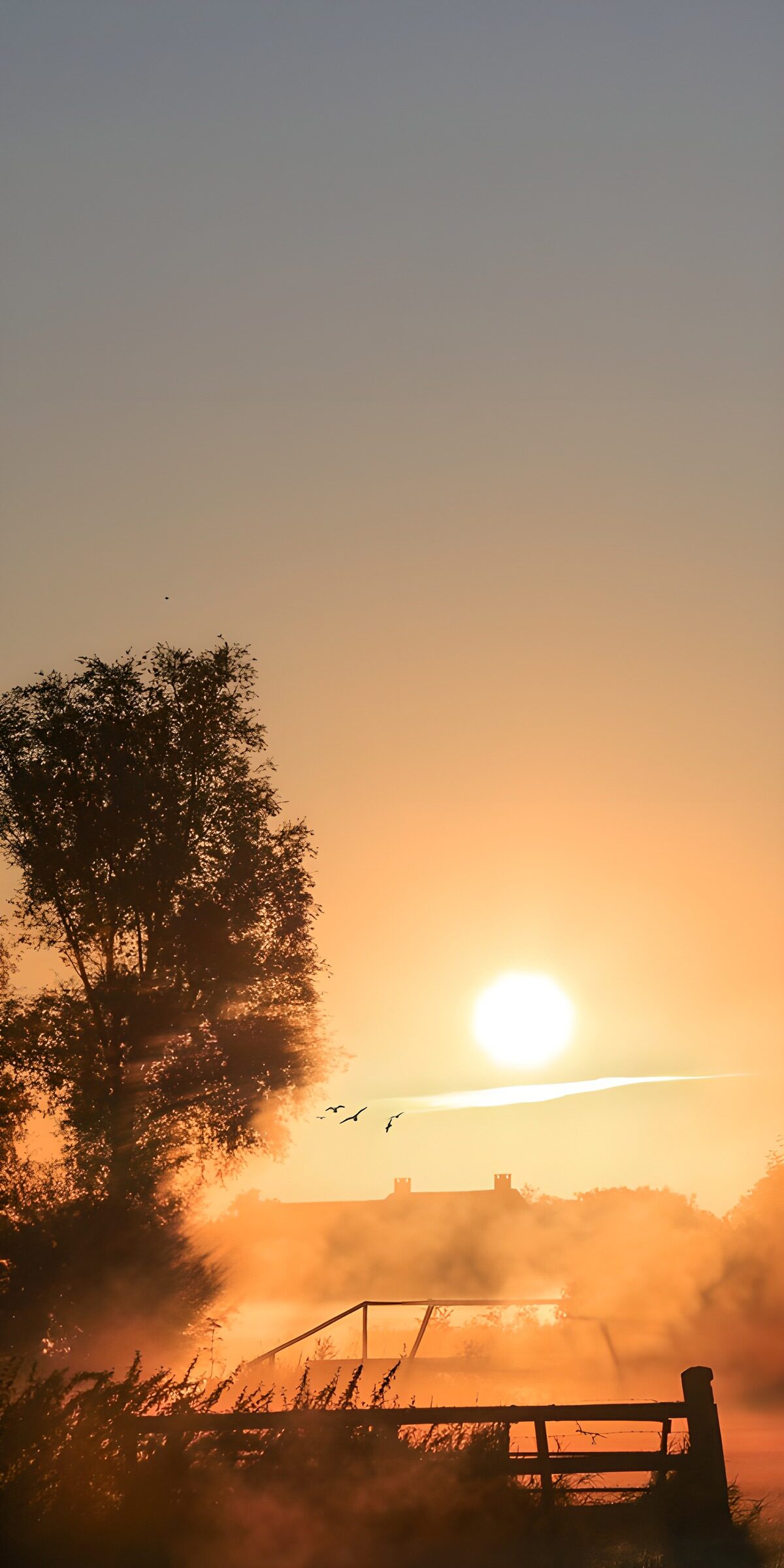 TPDE13740: Morgendämmerung am Wasser