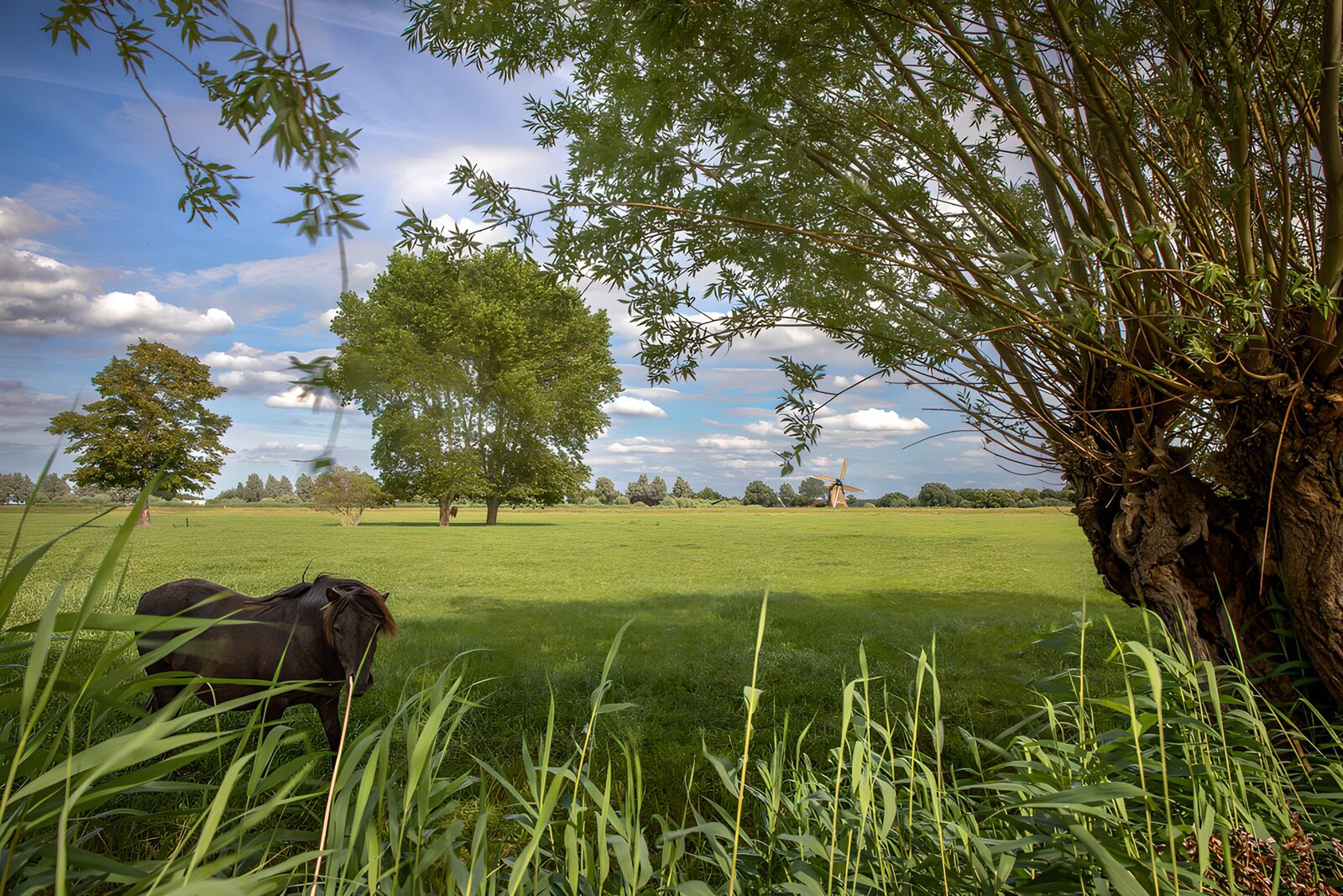 TPDE14019: Idylle auf dem Land mit Tier und Landschaft