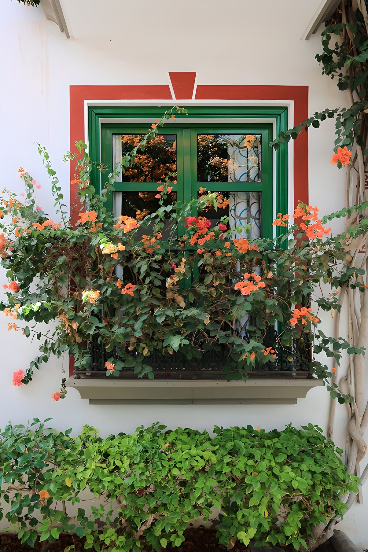 TPDE37910: Blühendes Fenster mit bunten Blumen