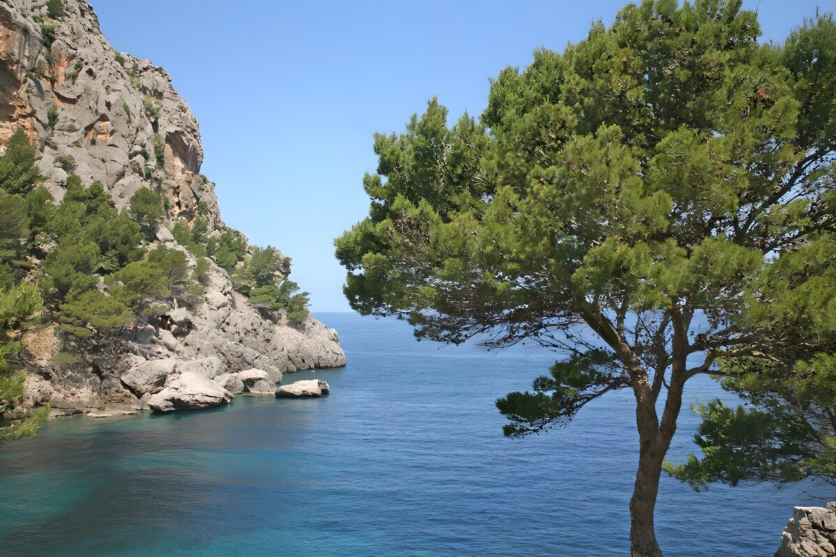 TPDE14838: Bucht in der Fjord-Landschaft in Cassis 9