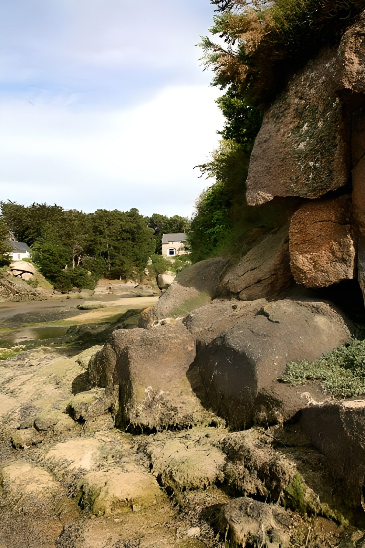 TPDE34229: Sicht an Felsen vorbei mit Algen und Bewachsung