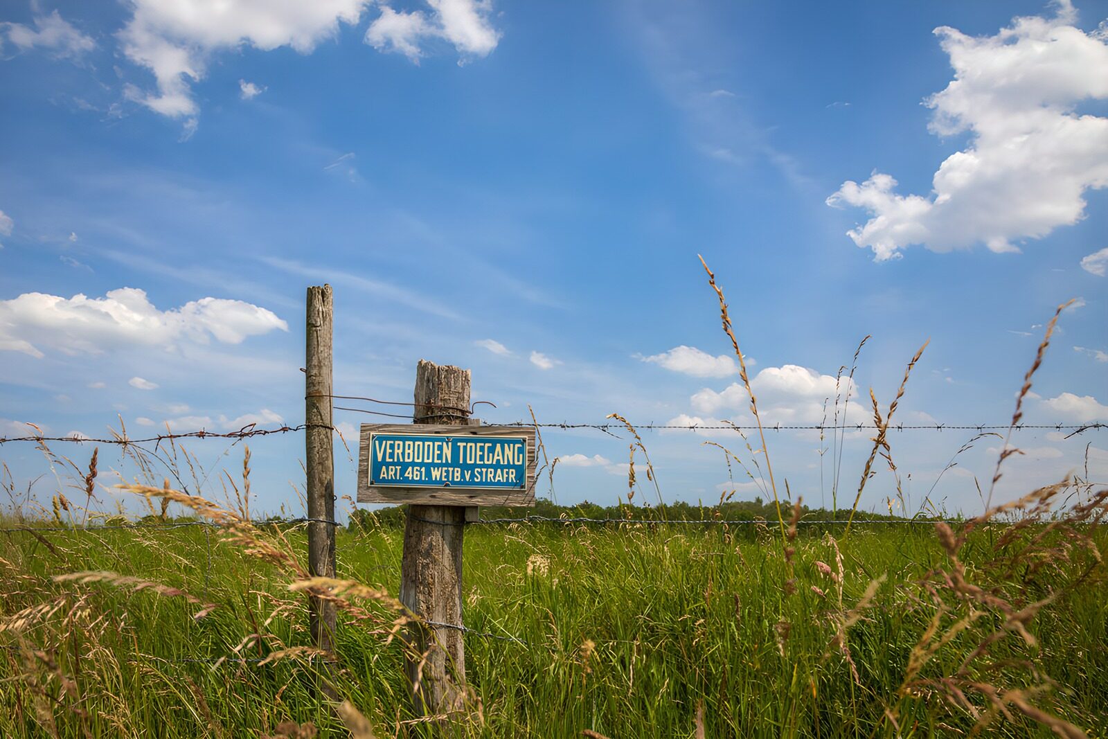 TPDE10954: Verbotene Zone auf dem Feld