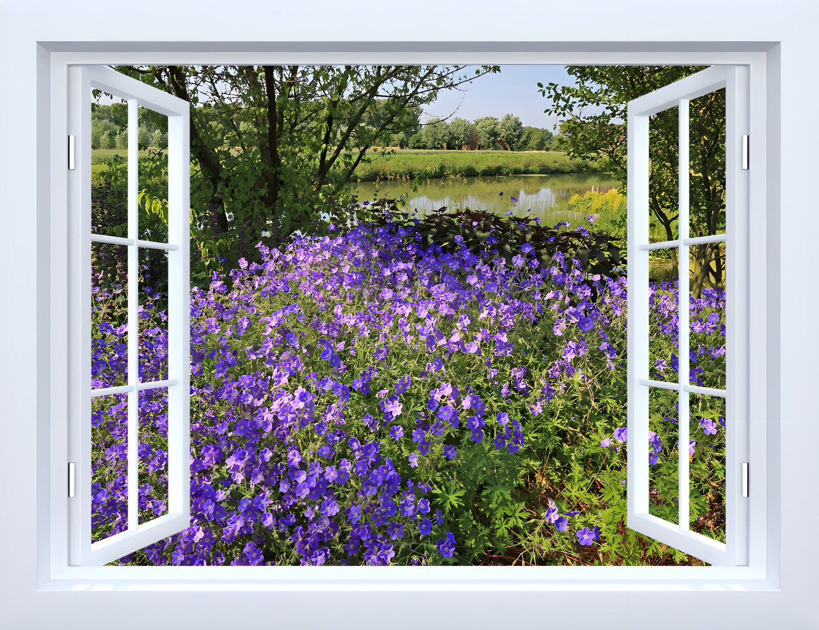 TPDE61145: Blühendes Fenster mit lila Blumenpracht