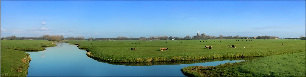 eingedeichte, niedriggelegene niederländische Polderlandschaft