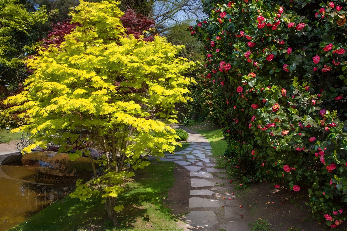 schmaler Pfad durch einen japanischen Garten