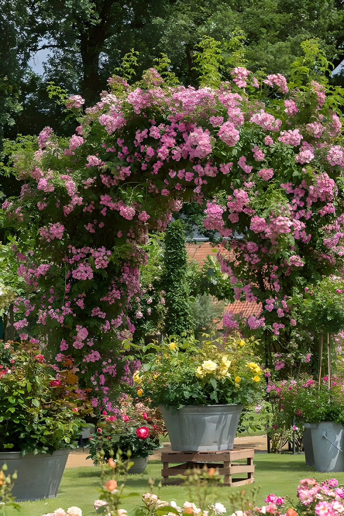 fantastische lilafarbene Blüten an Bäumen und große Kübelpflanzen mit weißen Blüten in eienm Park