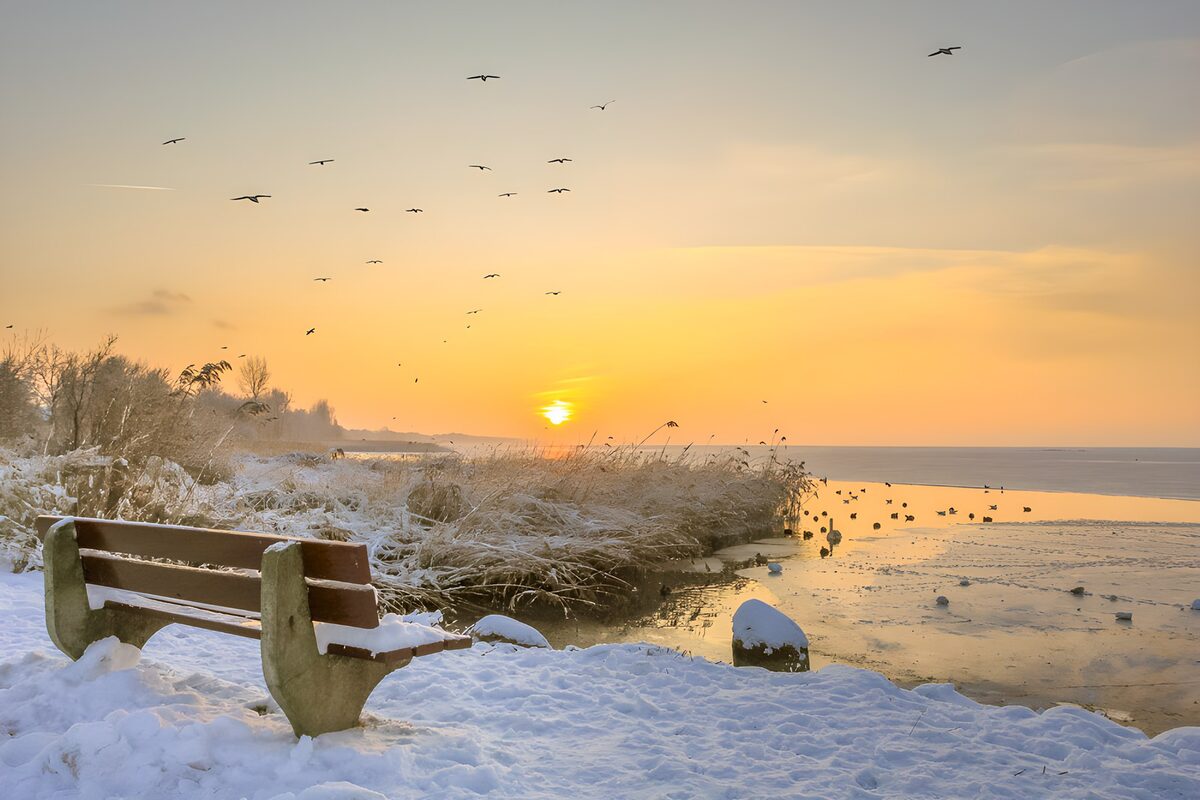 TPDE57777: Winterlandschaft am Wasser