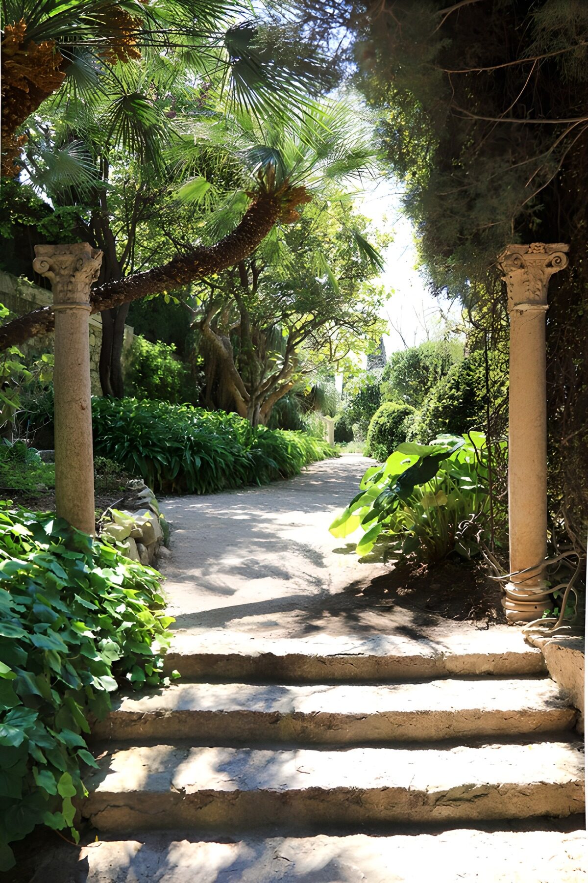TPDE33774: Romantischer Gartenweg zwischen Säulen