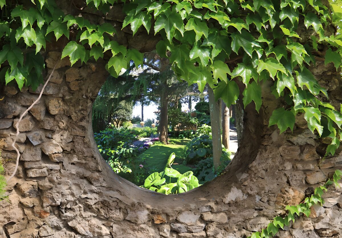 TPDE75454: Fenster in den Garten