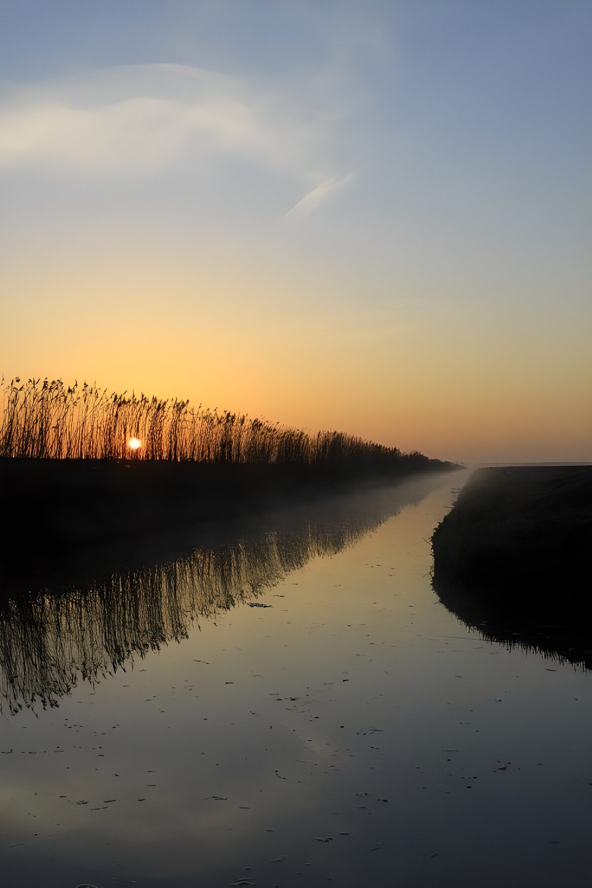 TPDE77519: Sonnenuntergang im Koog