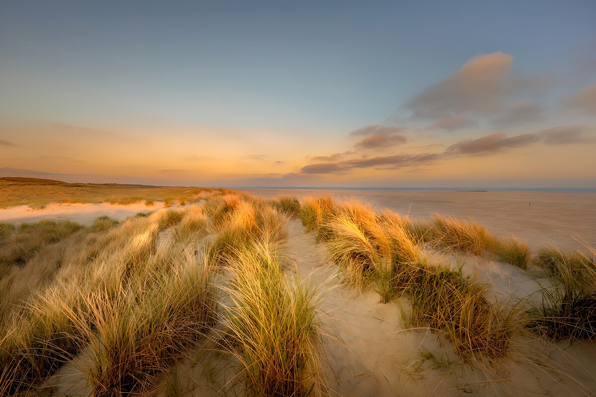 TPDE68709: Dünenlandschaft bei Sonnenuntergang