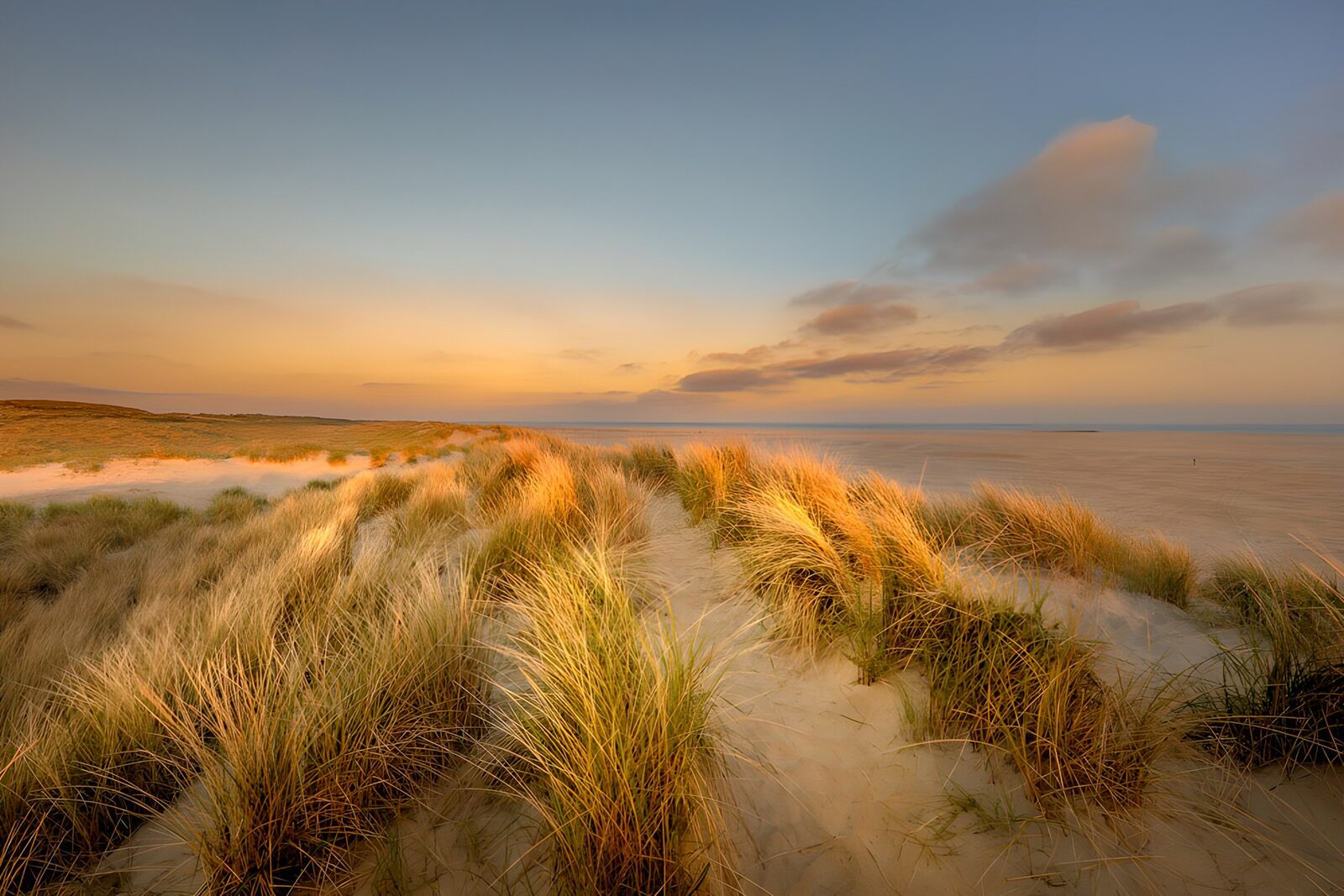 TPDE68709: Dünenlandschaft bei Sonnenuntergang