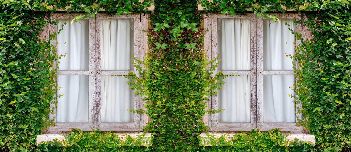 TPDE72903: Grüne Fenster mit Vorhängen